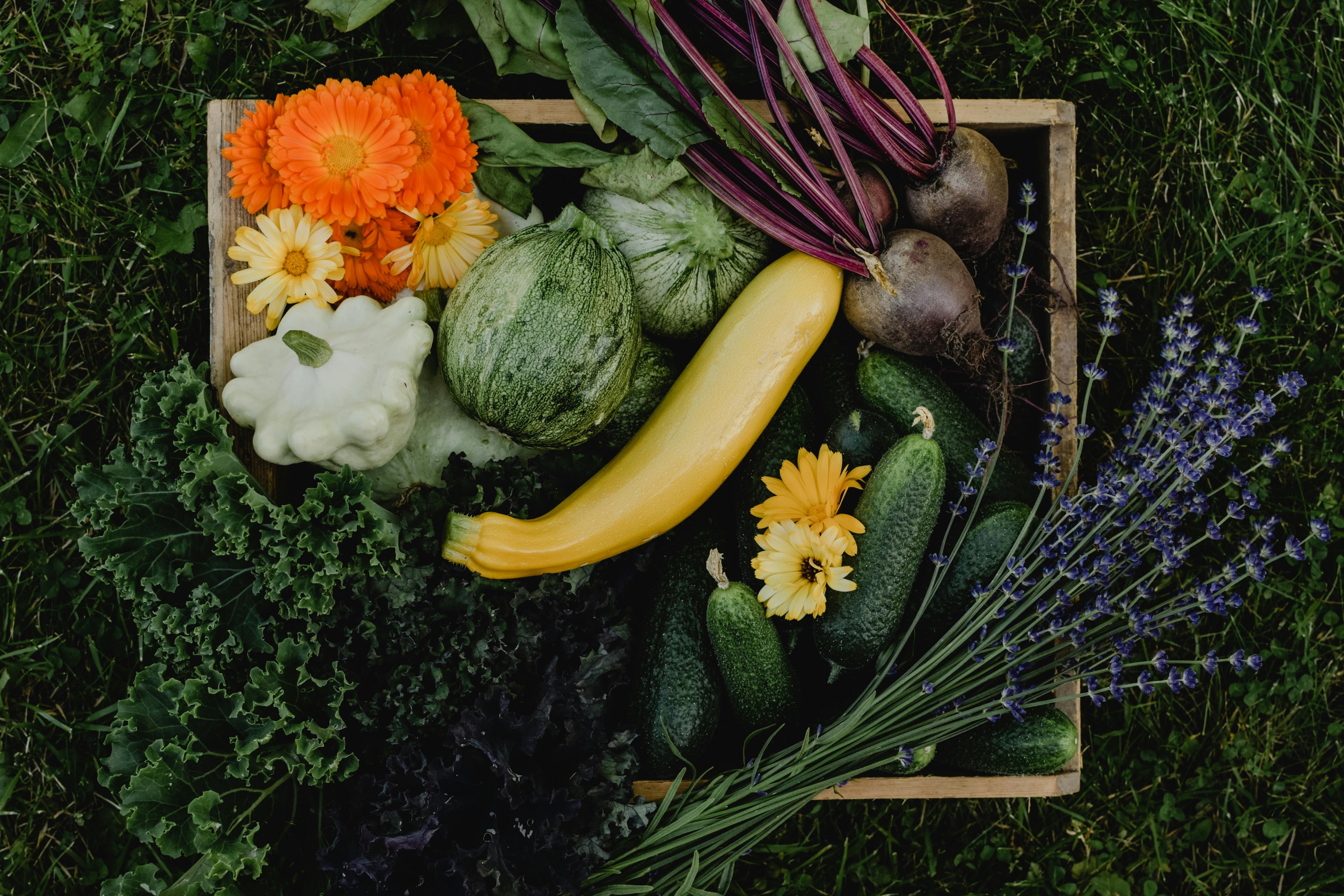 Farmstand